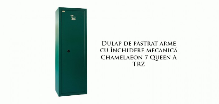 Dulap de păstrat arme cu închidere mecanică de calitate